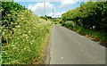 The Clogher Road near Hillsborough