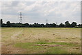 Field with Pylons, off Lines Road