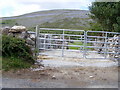 M3209 : Cattle pens - Leagh South Townland by Mac McCarron