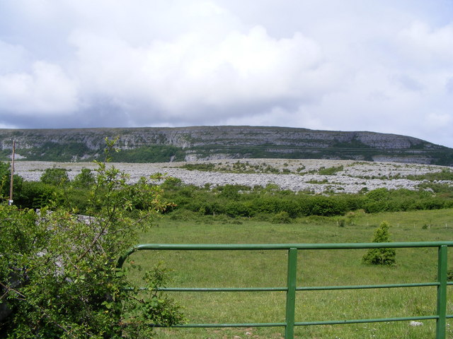 Pasture land - Keelhilla Townland