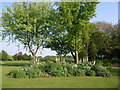 Thorpe Lodge (B&B) - gardens