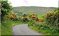 The Mountain Road near Dromara