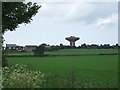 View across fields of wheat