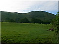 SO4796 : Grassland, Botvyle Farm by Eirian Evans