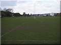 Rugby pitches on King