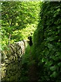 Footpath - Carr Lane, Micklethwaite