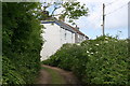 Houses by the Path