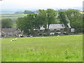 The converted barn development at Clynnog Farm