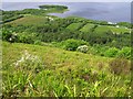 Lough Navar Forest viewpoint