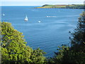 SW7826 : The mouth of the Helford River seen from the coast path above Toll Point by Rod Allday
