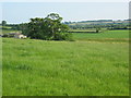 View from East Mendip Way, near Vallis Farm