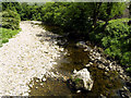 The trout-laden infant River Wharfe at Hubberholme