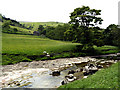 SD9078 : The infant River Wharfe near Hubberholme by Andy Beecroft