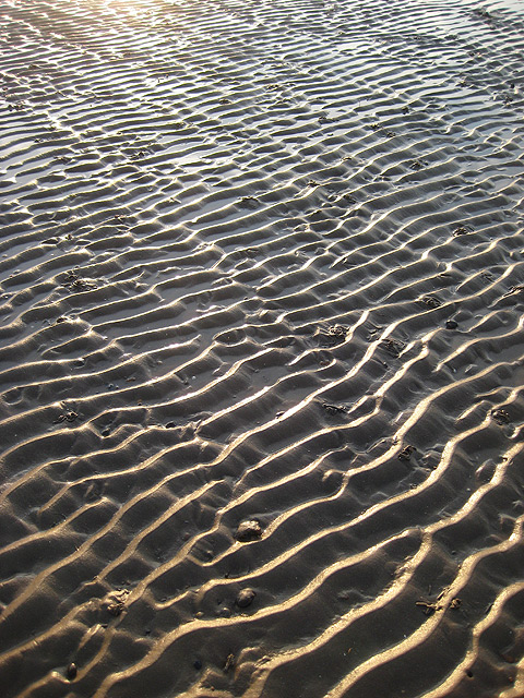 Ribbed sand caught in the setting sun