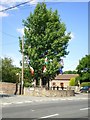 The Arbor Tree of Aston on Clun