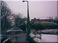 Snow-covered ivy-covered lamp-post on Albion Road