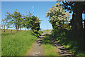 Unsurfaced road above Cefnblaenau