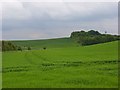 Farmland between Farnborough and West Ilsley