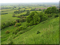 SU0978 : The view from Broad Town White Horse by Andrew Smith