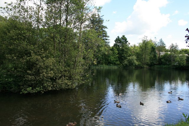 The Still, Pond off River Urrin, Enniscorthy