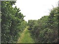 Path from Newborough to Llangeinwen Church