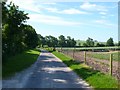 Lane near Clandon