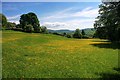 Buttercup Meadows, Near Healaugh