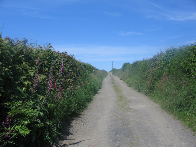 Track near Lower Stursdon