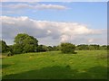 Pasture, Spencers Wood