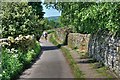 A Lane in Reeth