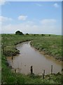 Butley Marshes