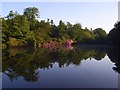 Great Pond, Ascot