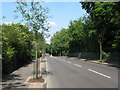 Brenchley Gardens (road)