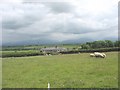 View across pasture land towards the Bron Rallt local authority built housing estate at Llangaffo