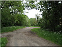 SO8044 : Track to Woodbridge Farm, Guarlford by Philip Halling
