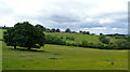 View towards Rushbury House