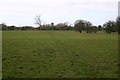 Footpath heading towards Wytham Mill