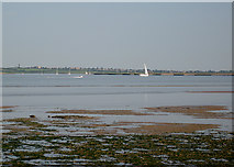 TM2326 : Foreshore and seaward end of Hamford Water by Zorba the Geek