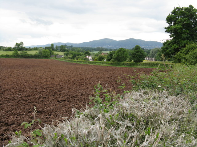Ploughed field at Bastonford