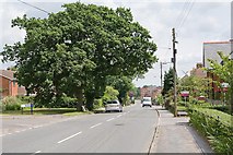 SU5417 : Looking along Winchester Road, Bishop's Waltham by Peter Facey