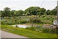 Albany Road Allotments, Bishop