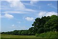 Countryside near East Chelborough