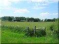 View towards Horsey Farm