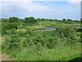 View east from Rampisham