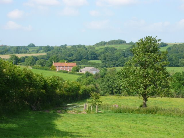 Countryside near Rampisham © Nigel Mykura cc-by-sa/2.0 :: Geograph ...