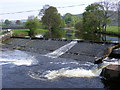 The weir over the Ribble near Stackhouse - Spring