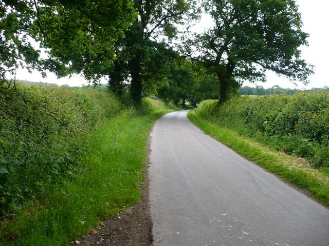 Pikers Lane
