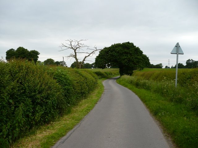 Pikers Lane