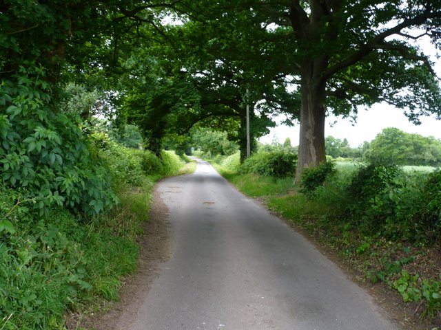 Hollyfast Lane