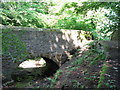 Footbridge over Halgut Burn (4)